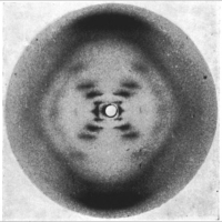 Biología Molecular y Celular